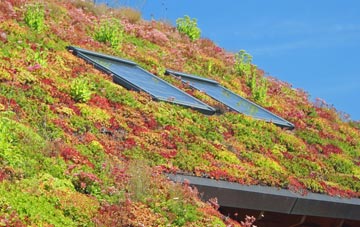 Hazlewood living roof systems