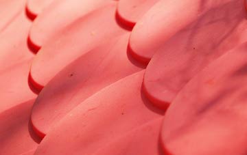 Hazlewood plastic roof costs